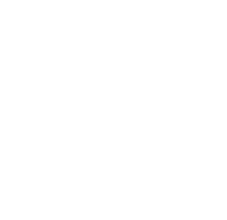 Skyline Safety